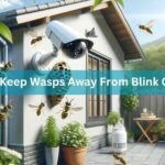 How To Keep Wasps Away From Blink Cameras – A Complete Guide Of 2024!