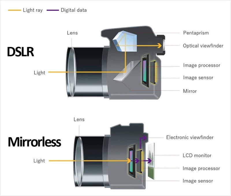 Understanding Mirrorless Cameras